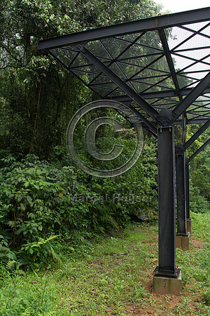 Canopy crossing for arboreal mammals, "park road" (estrada-parqu