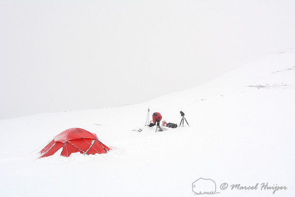 The making of the muskoxen images, Niels Kooijman at base camp, Dovrefjell National Park, Norway