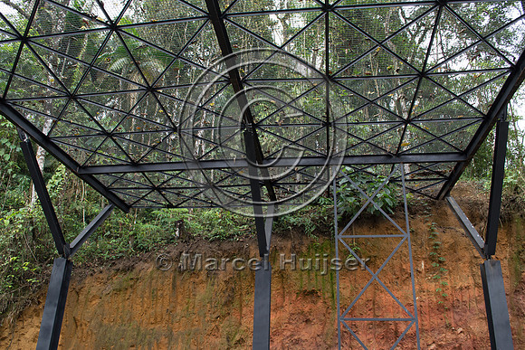 Canopy crossing, "park road" (estrada-parque) Capelinha-Mauá (R