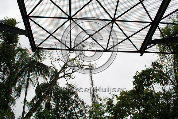 Canopy crossing, "park road" (estrada-parque) Capelinha-Mauá (R