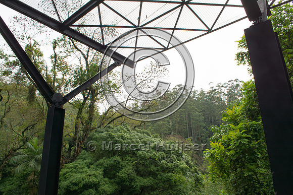 Canopy crossing, "park road" (estrada-parque) Capelinha-Mauá (R