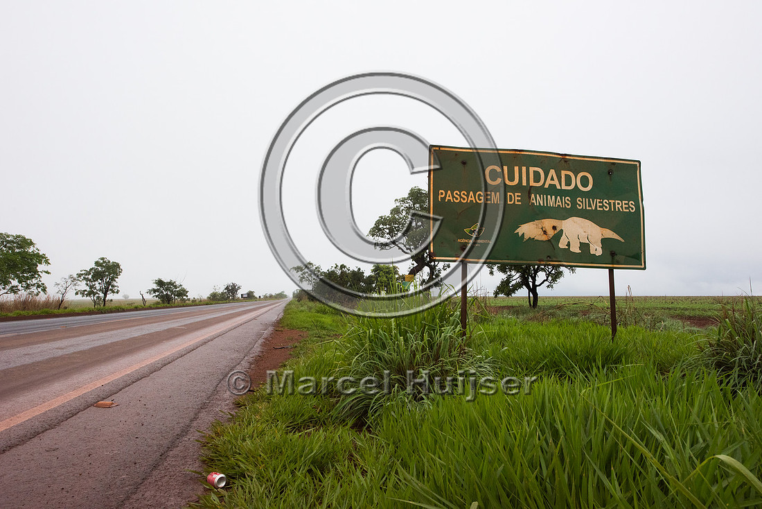 Wildlife warning sign giant anteater, Brazil