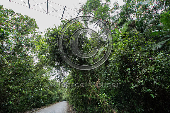 Canopy crossing, Brazil