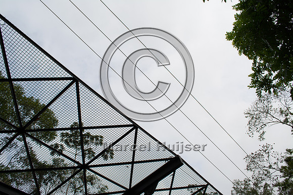Canopy crossing, "park road" (estrada-parque) Capelinha-Mauá (R