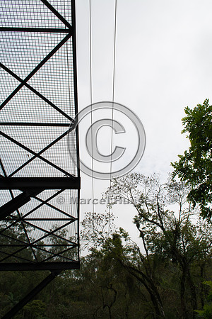 Canopy crossing, "park road" (estrada-parque) Capelinha-Mauá (R