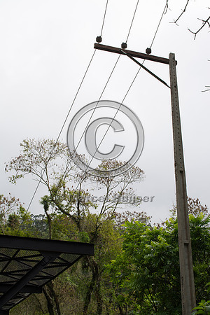 Canopy crossing, "park road" (estrada-parque) Capelinha-Mauá (R