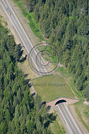 Wildlife overpass and underpass US Hwy 93, Flathead Indian Reservation, Montana, USA
