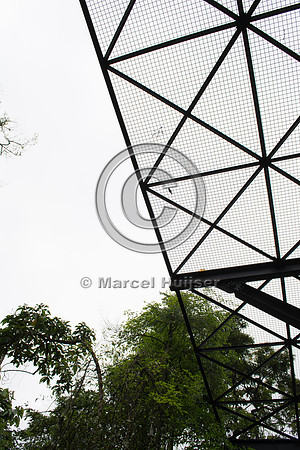 Canopy crossing, "park road" (estrada-parque) Capelinha-Mauá (R