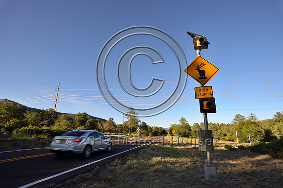 Animal detection and driver warning system, S.R. 260 east of Payson, Arizona, USA