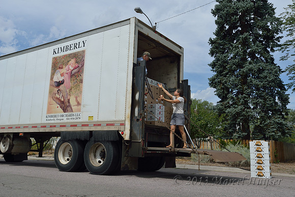 Unloading fruit, Missoula, Montana, USA.