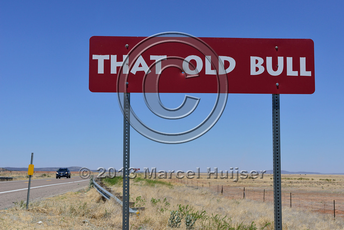 That old bull. Burma-Shave cattle crossing sign series, US Hwy 66, Arizona, USA