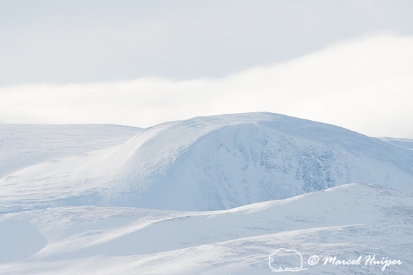 Landscape in winter, Dovrefjell, Norway