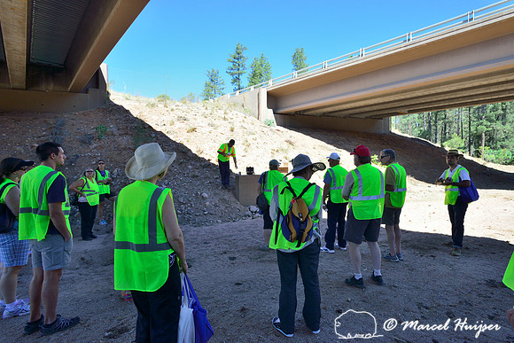 ICOET 2013 excursion, wildlife underpass Little Green Valley, SR 260, Payson, AZ, USA