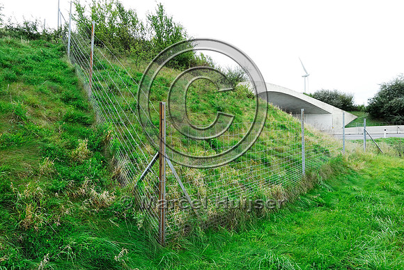 Wildlife fence at multifunctional overpass (wildlife, bicyclists, pedestrians; about 100 m wide), across A4 motorway, Parndorf, Austria