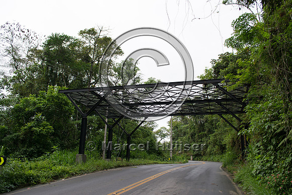 Canopy crossing, "park road" (estrada-parque) Capelinha-Mauá (R