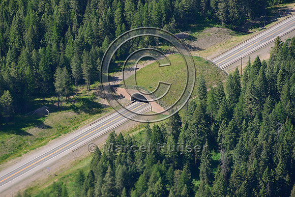 Wildlife overpass, US Hwy 93, Flathead Indian Reservation, Montana, USA