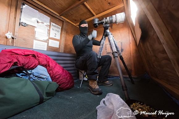 Marcel Huijser in blind for sandhill cranes (Grus canadensis), P