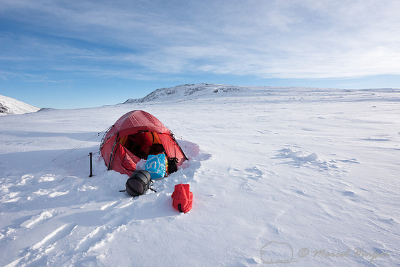 Our first camp, Dovrefjell, Norway
