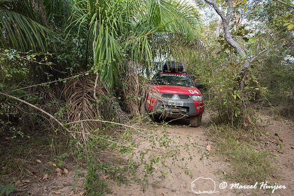 Mitsubishi 4x4, L200 Triton Savana, on wildlife expedition to th