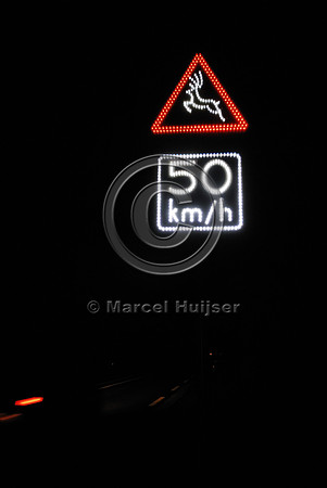 Animal detection system at night, Harderwijk, The Netherlands