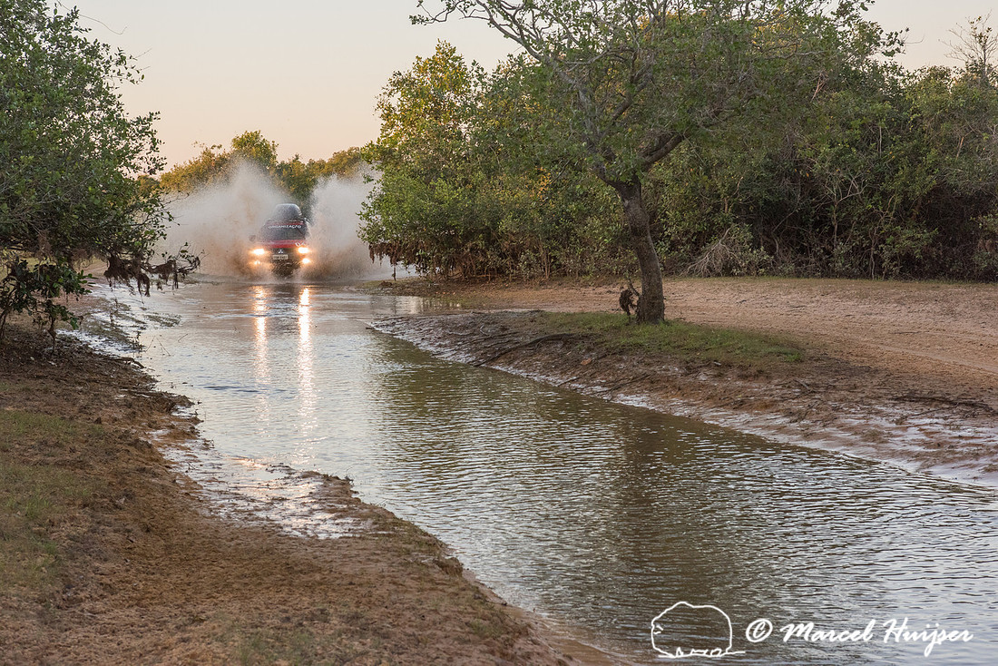 Crossing a stream, Mitsubishi 4x4, L200 Triton Savana, on wildli