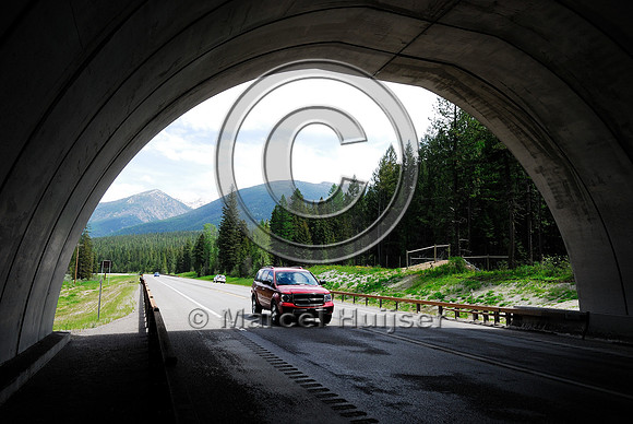 Car underneath wildlife overpas US Hwy 93, MT
