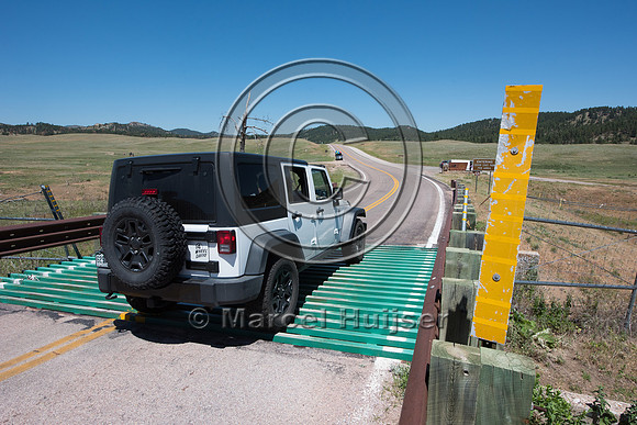 Wildlife guard to keep ungulates including bison (Bison bison) i