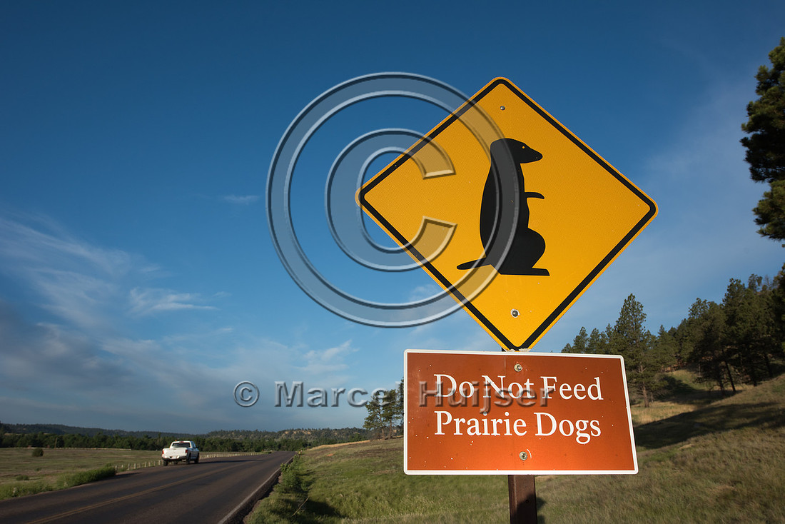 Warning sign for black-tailed prairie dog (Cynomys ludovicianus