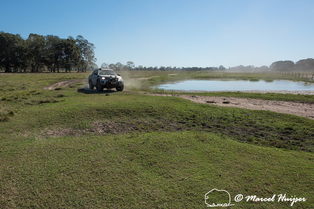 Departing the Pantanal in a convoy of four Mitsubishi vehicles,