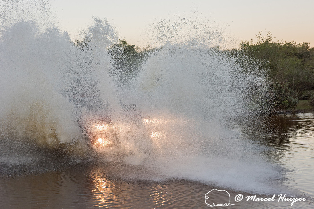 Crossing a stream, Mitsubishi 4x4, L200 Triton Savana, on wildli