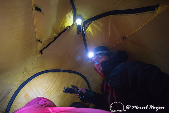 Niels Kooyman at first camp, Dovrefjell, Norway