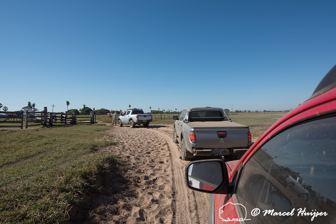 Departing the Pantanal in a convoy of four Mitsubishi vehicles,