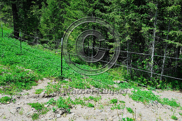 Lifestock fence at entrance to wildlife overpas US Hwy 93, MT