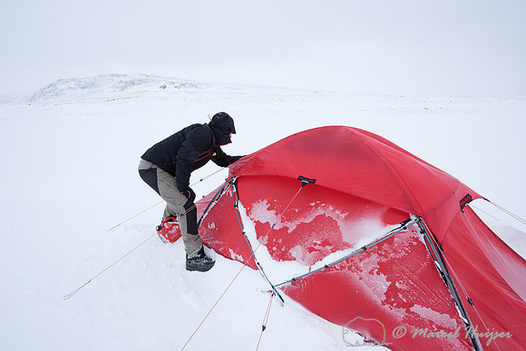 Niels Kooyman at first camp, Dovrefjell, Norway