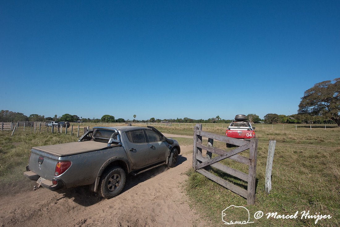 Departing the Pantanal in a convoy of four Mitsubishi vehicles,