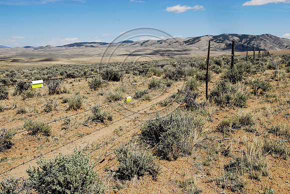 Markers on livestock fences or right-of-way fences to reduce sage grouse colliding with these fences, near Bannack, Montana, USA
