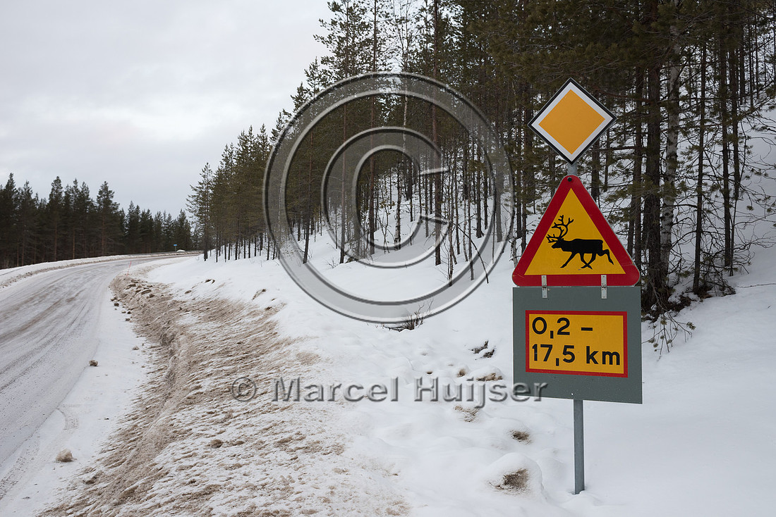Wildlife warning sign for reindeer (Rangifer tarandus), Sweden