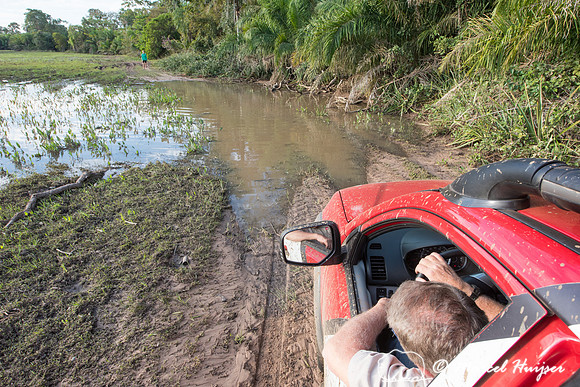 Mitsubishi 4x4, L200 Triton Savana, on wildlife expedition to th