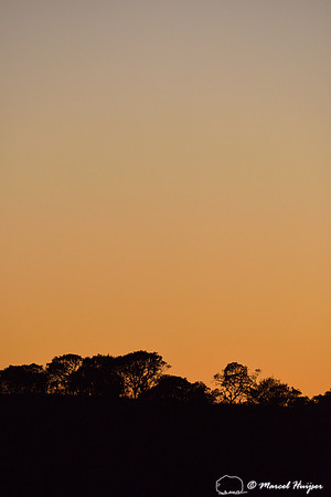 Sunrise with Atlantic forest, near Parque Nacional da Serra da Bocaina, São Paulo, Brazil