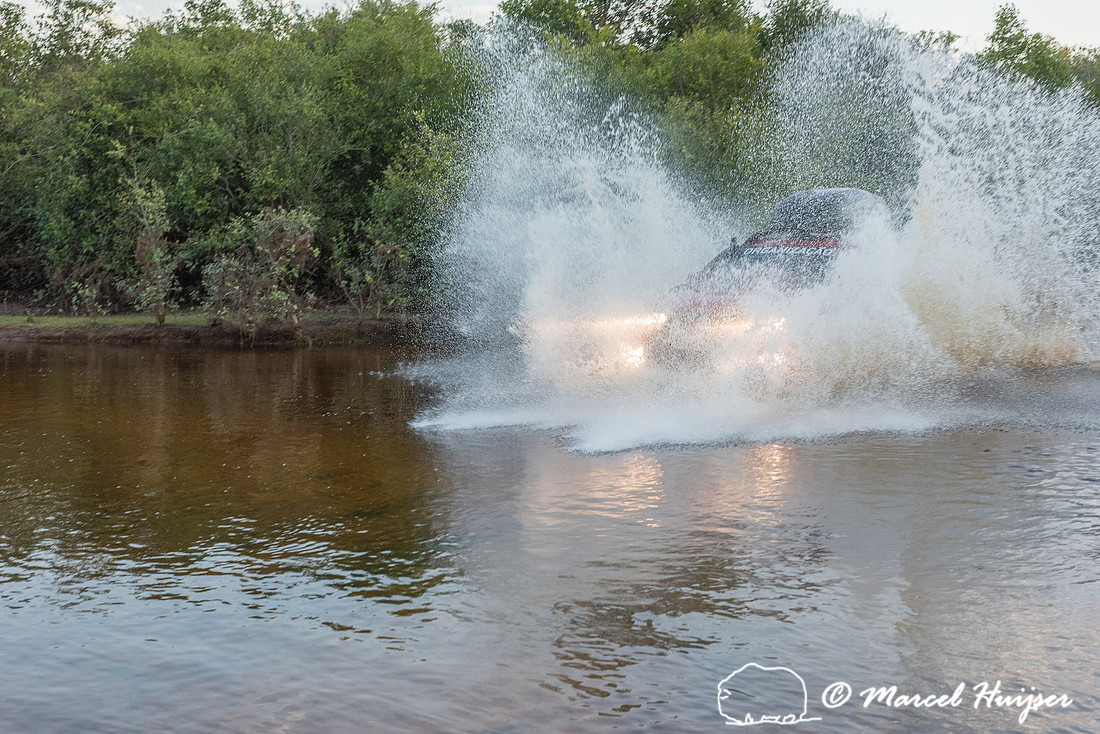 Crossing a stream, Mitsubishi 4x4, L200 Triton Savana, on wildli