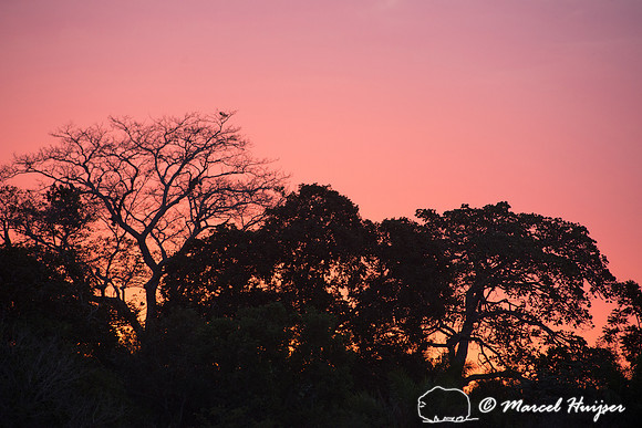 Sunset, Pantanal, Mato Grosso do Sul, Brazil