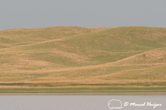 Lake and dunes, Valentine National Wildlife Refuge, Nebraska, US