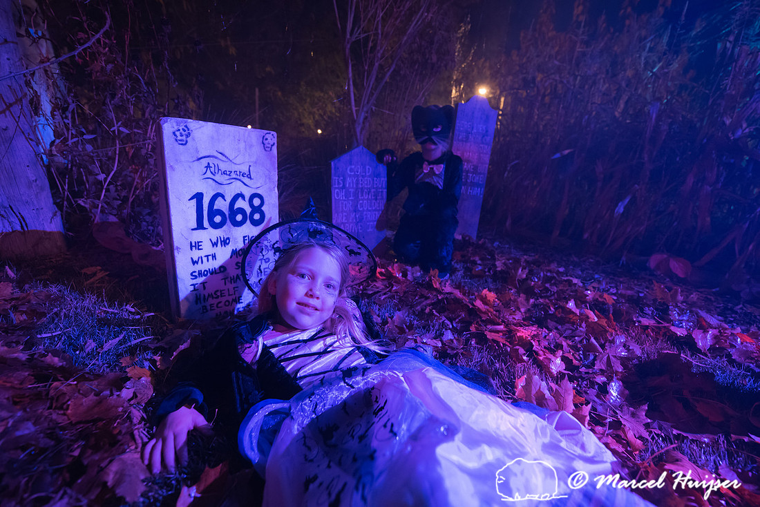 Halloween