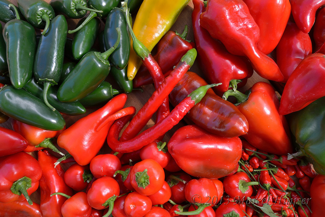 bell, cayenne, garden, green peppers, harvest, homegrown, hot, jalapeno, organic, red peppers