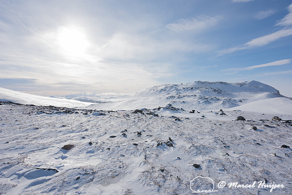 Winter landscape at second camp, Dovrefjell, Norway