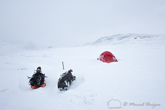 Our first camp, Dovrefjell, Norway