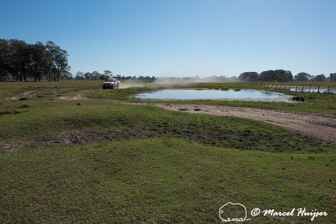 Departing the Pantanal in a convoy of four Mitsubishi vehicles,
