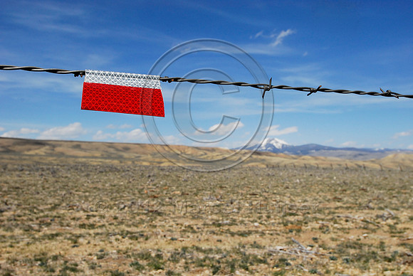 Markers on livestock fences or right-of-way fences to reduce sage grouse colliding with these fences, near Bannack, Montana, USA