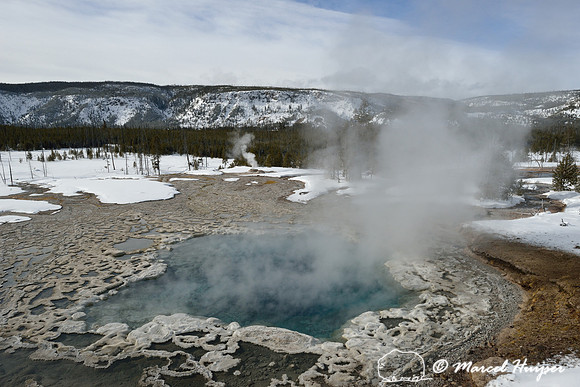 Artemisia Geyser, Upper Geyser Basin, Yellowstone National Park, Wyoming, USA