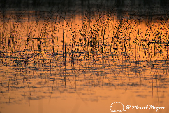 Sunset, Valentine National Wildlife Refuge, Nebraska, USA